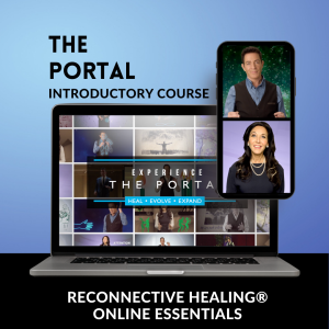 The Portal online course